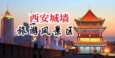骚鸡巴逼视频中国陕西-西安城墙旅游风景区